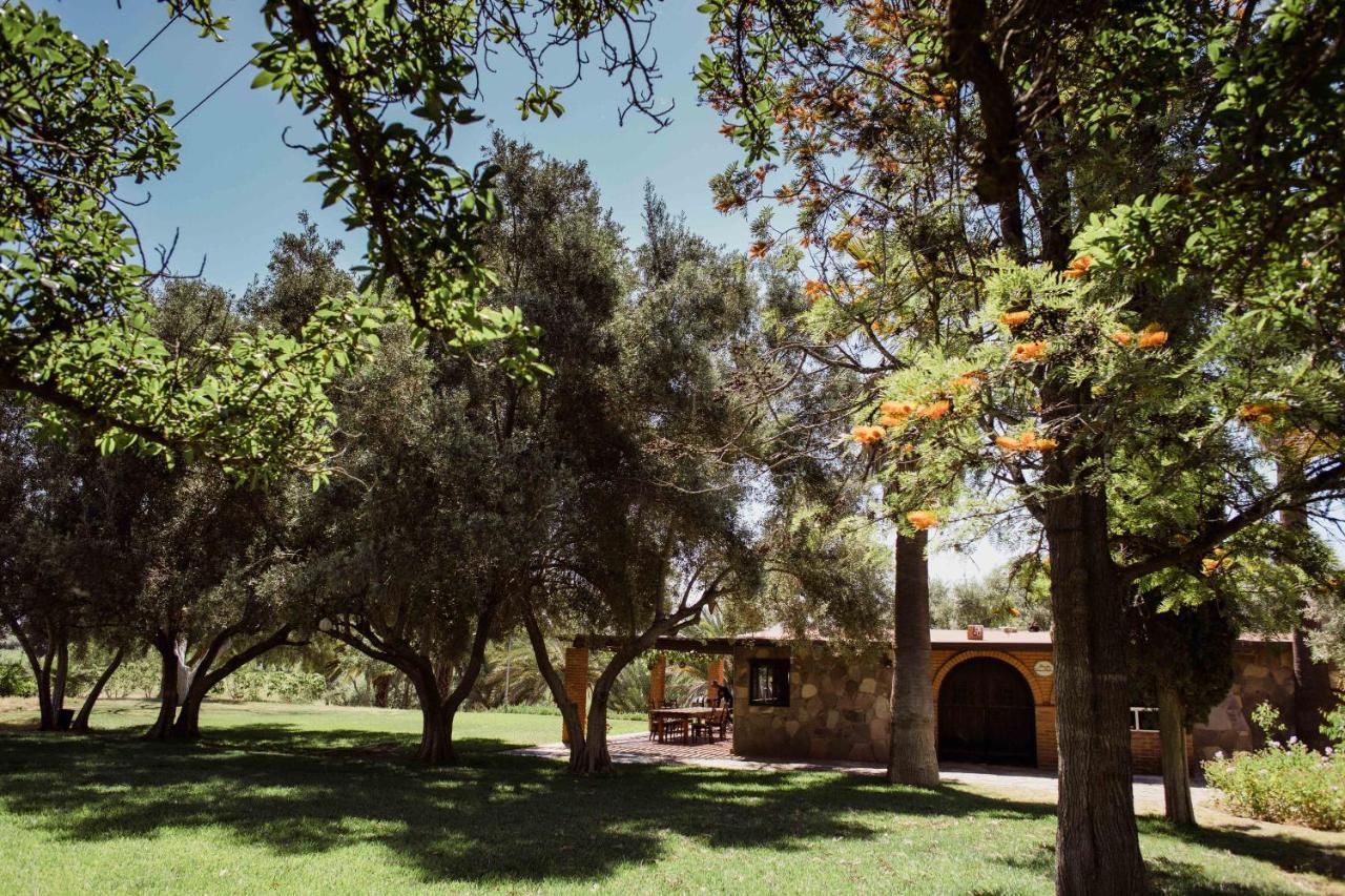 Rancho Toros Pintos Villa Valle de Guadalupe Exterior photo