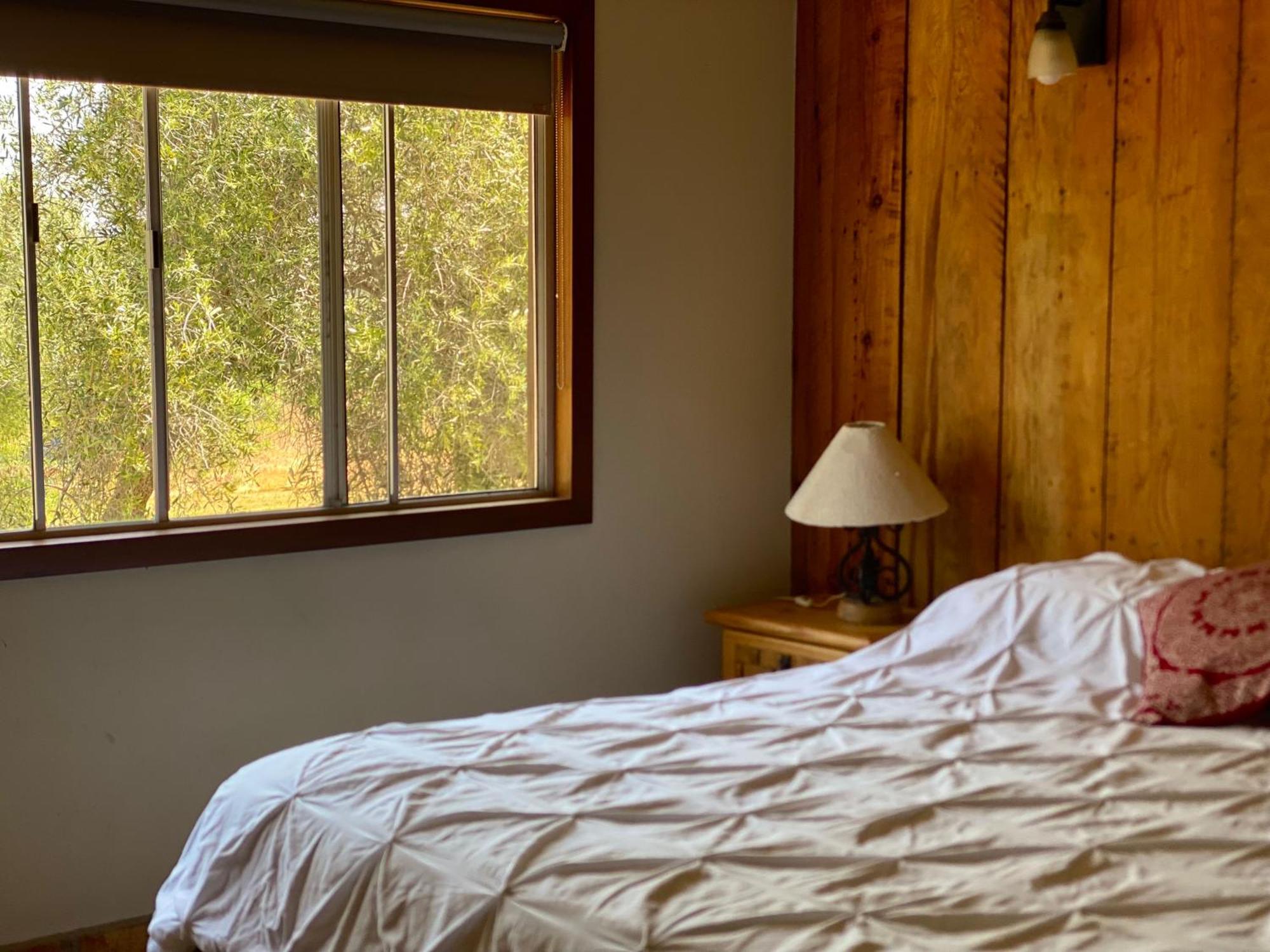 Rancho Toros Pintos Villa Valle de Guadalupe Room photo